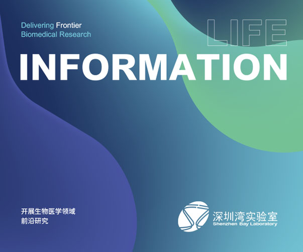 vi名牌設計_VI名牌設計品牌與風格的完美融合
