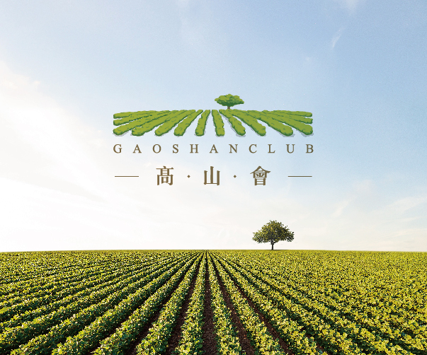 智能門禁系統科技公司VI設計：科技、安全與智能的融合